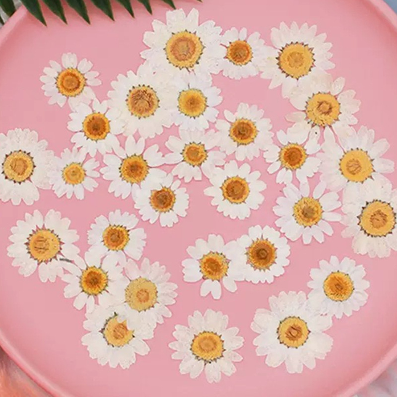 Resin Art Products - 100Pcs Natural White Crystal Chrysanthemum Daisy