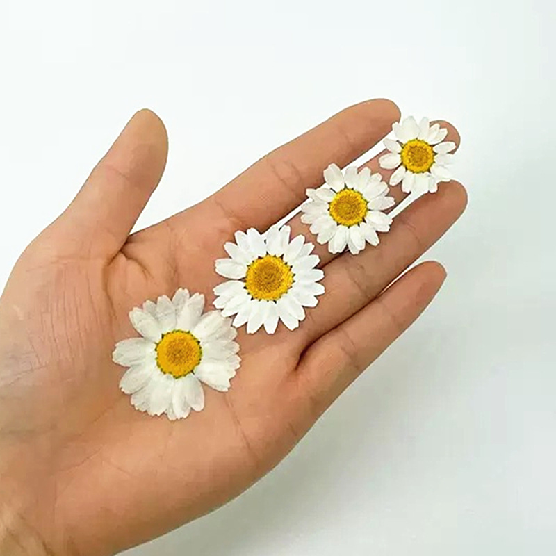 100Pcs Natural White Crystal C - Resin Art Products recensie en prijs