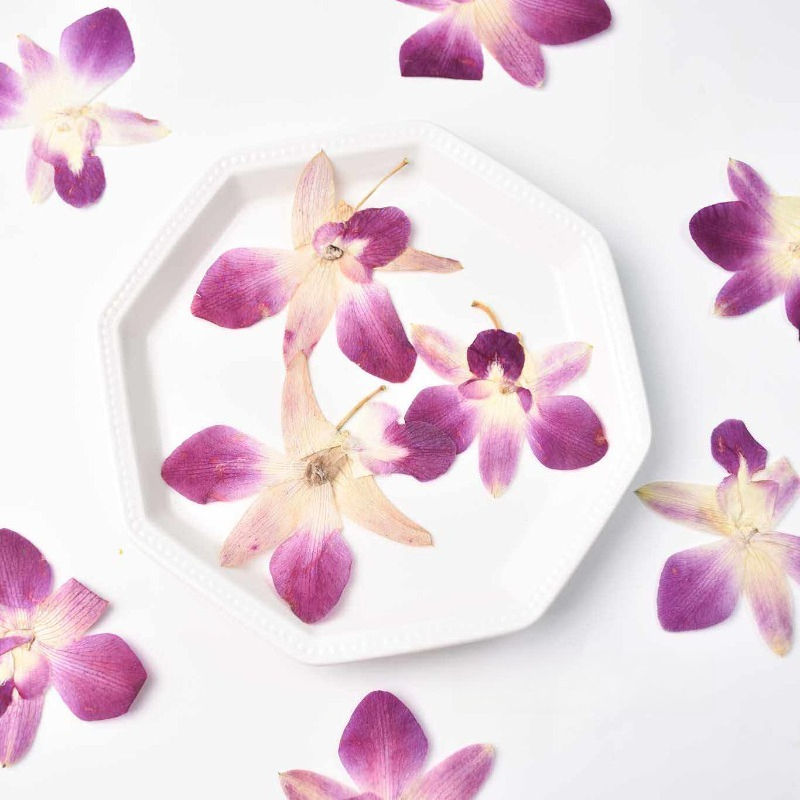 4pcs,Real Pressed Butterfly Or - Resin Art Frame recensie en prijs