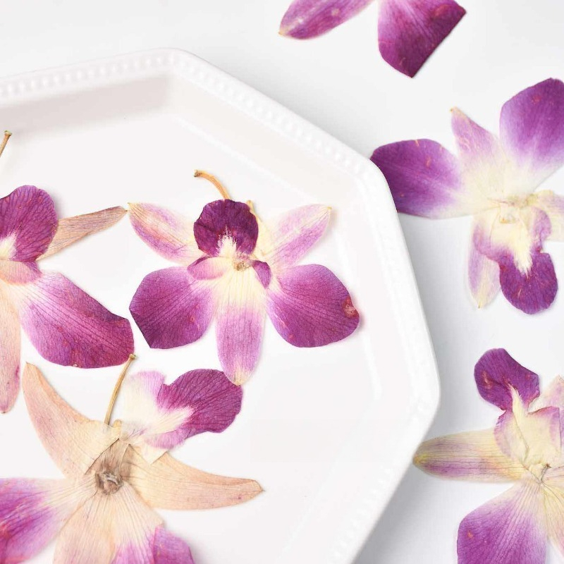 4pcs,Real Pressed Butterfly Or - Resin Art Frame recensie en prijs
