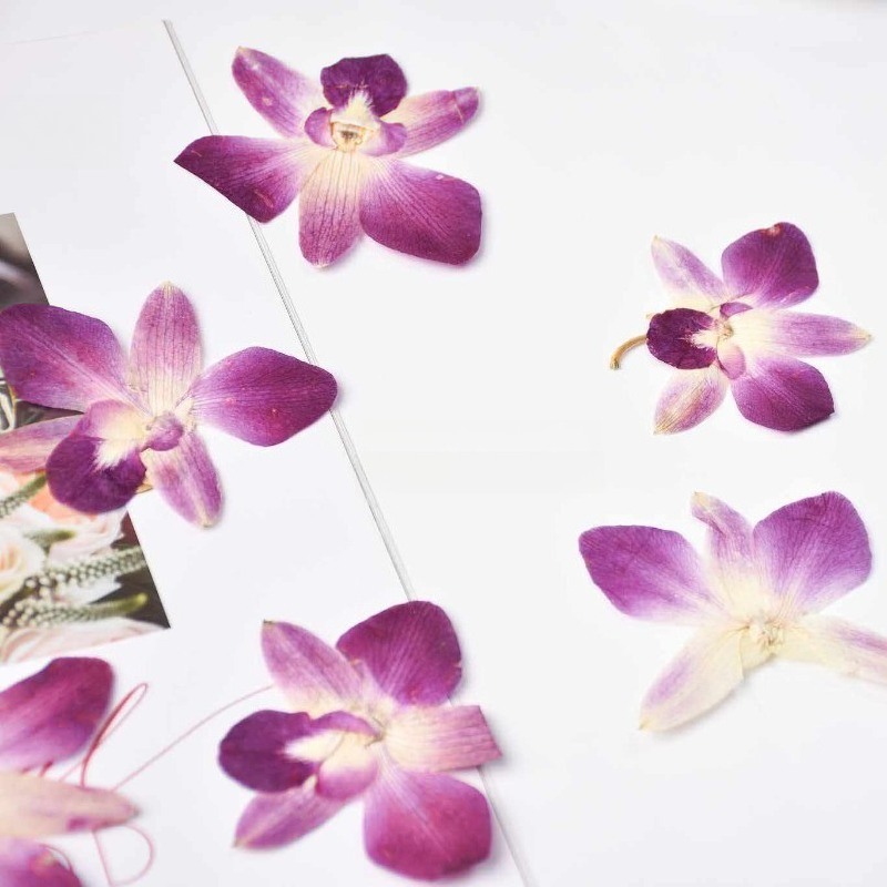 4pcs,Real Pressed Butterfly Or - Resin Art Frame recensie en prijs