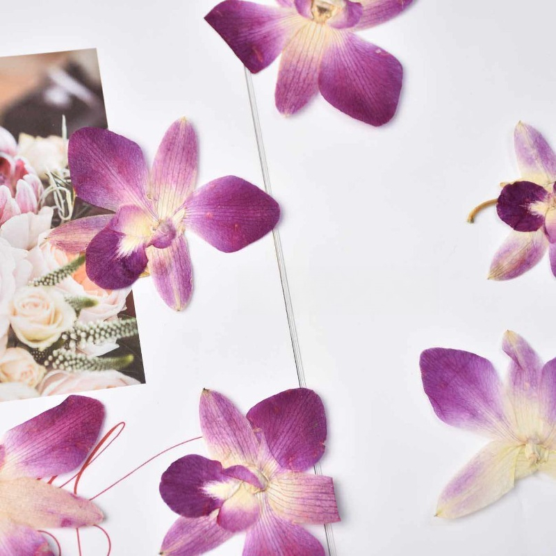 4pcs,Real Pressed Butterfly Or - Resin Art Frame recensie en prijs