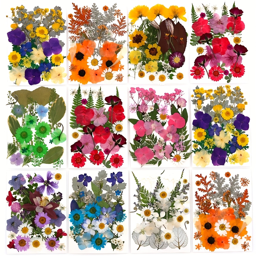 500pcs of Random Materials for - Resin Art Frame recensie en prijs