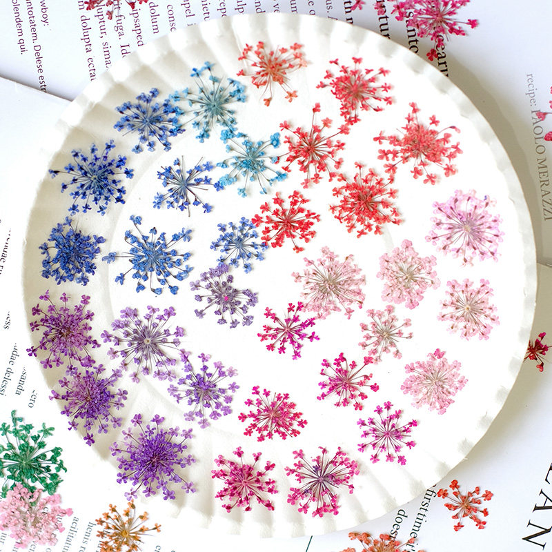24pcs, 2-2.5cm, Nature Dyed Mi - Resin Art Frame recensie en prijs