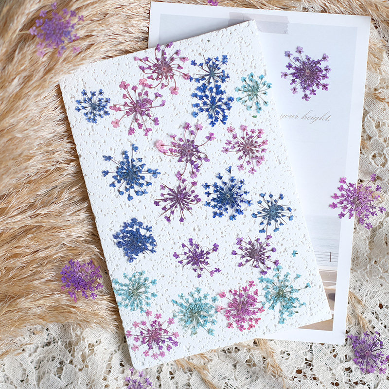 24pcs, 2-2.5cm, Nature Dyed Mi - Resin Art Frame recensie en prijs