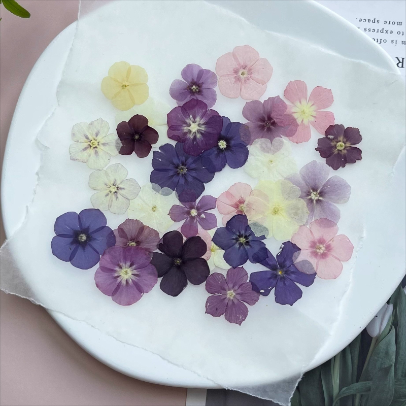 12pcs,Semi-Transparent Niche P - Resin Art Products recensie en prijs