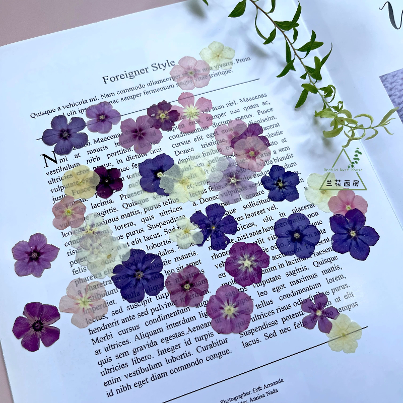 12pcs,Semi-Transparent Niche P - Resin Art Products recensie en prijs